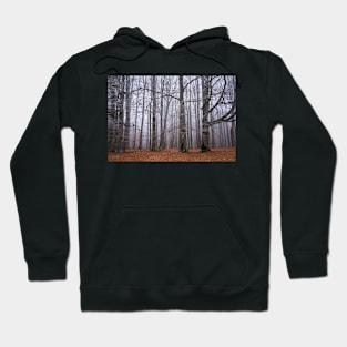 Winter landscape with frost on trees Hoodie